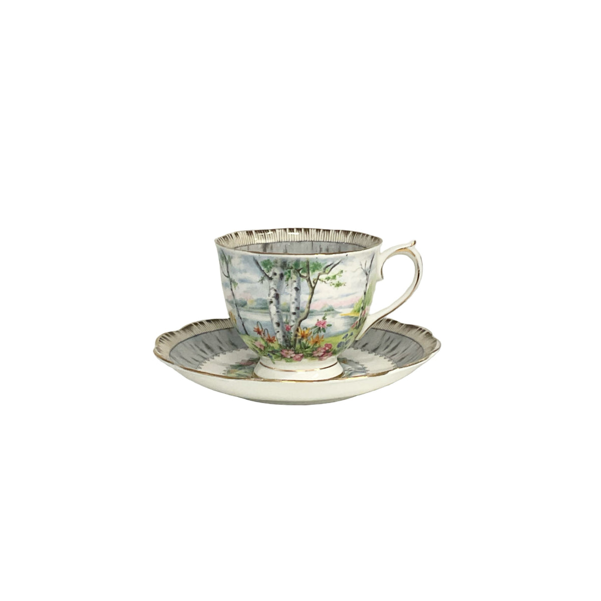 TEA CUP