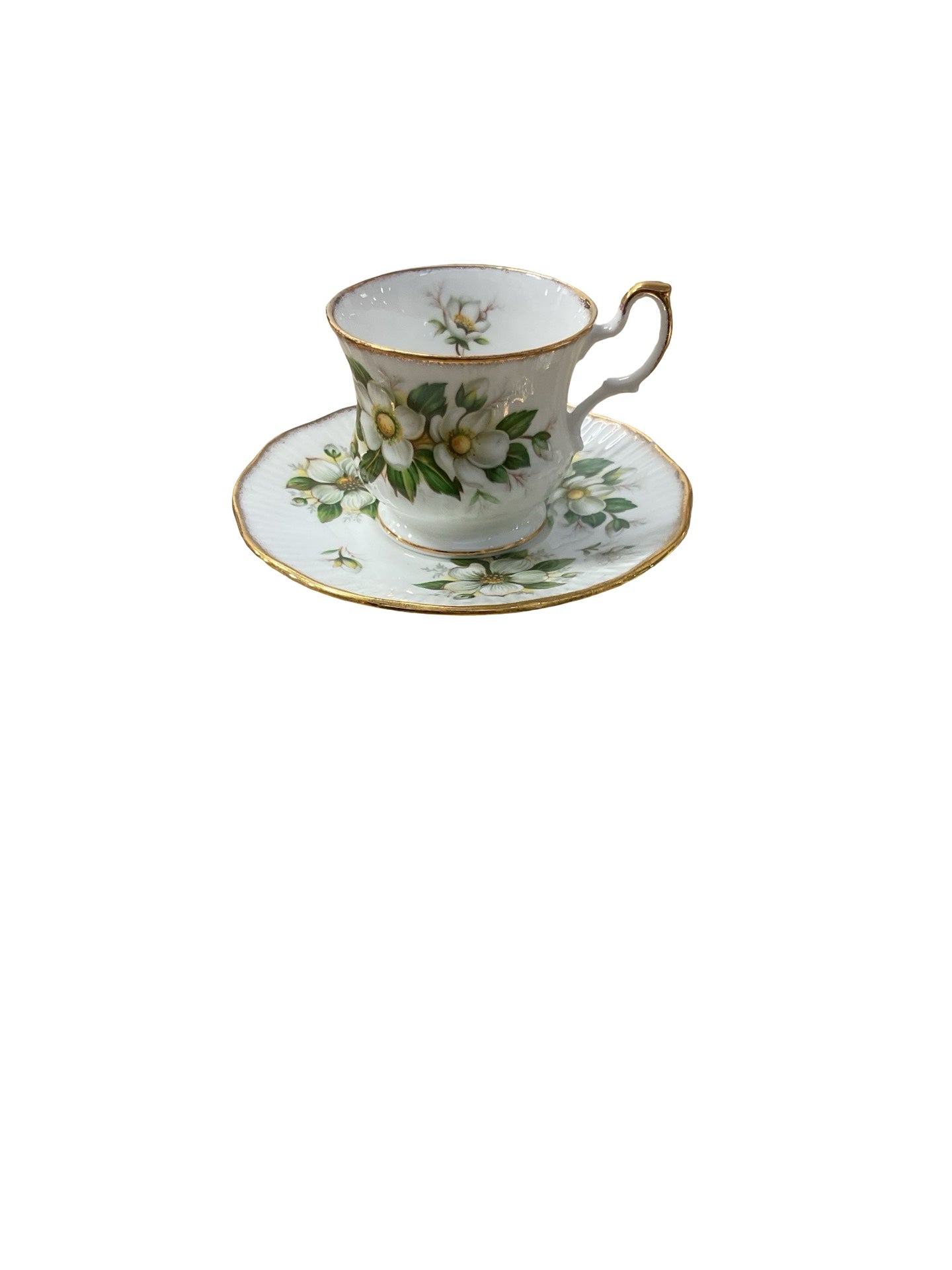 TEA CUP