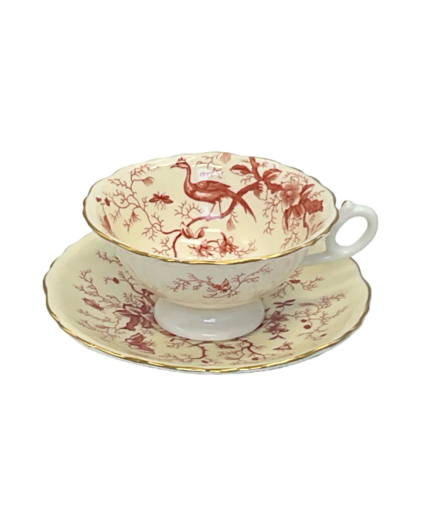 TEA CUP