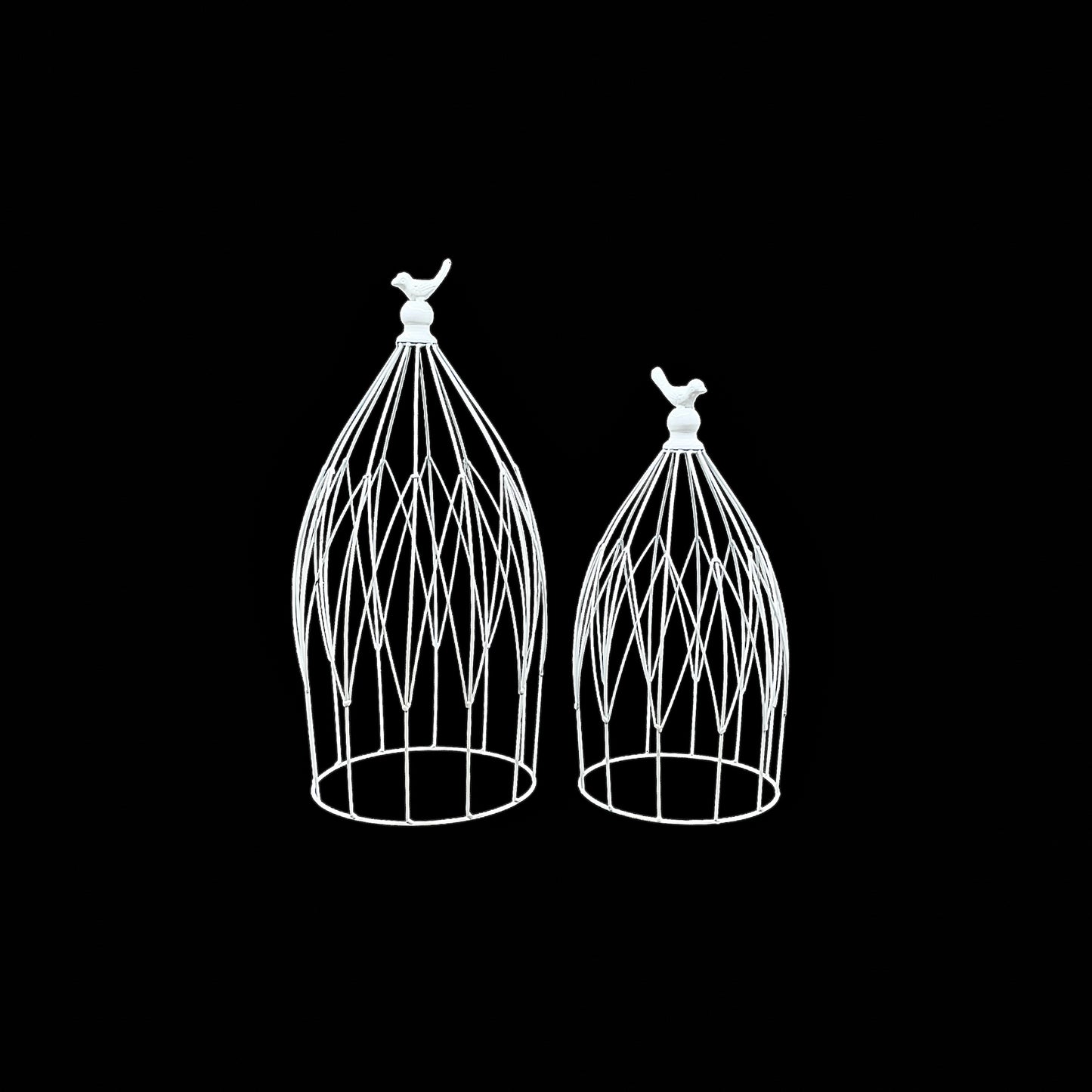ACCESSORY